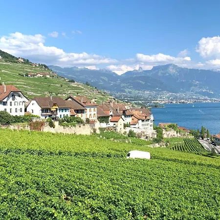 La Gremillette Gourmande Lavaux *