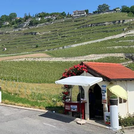 בית אירוח La Gremillette Gourmande Lavaux *