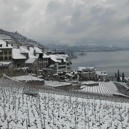 La Gremillette Gourmande Lavaux Rivaz