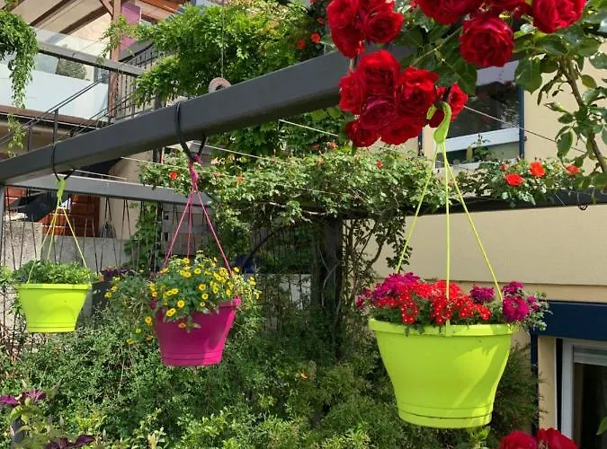 La Gremillette Gourmande Lavaux * Rivaz