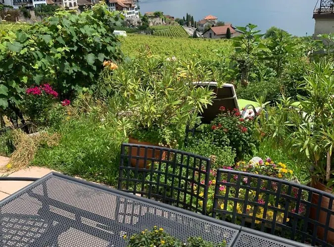 La Gremillette Gourmande Lavaux Quarto em Acomodações Particulares Rivaz