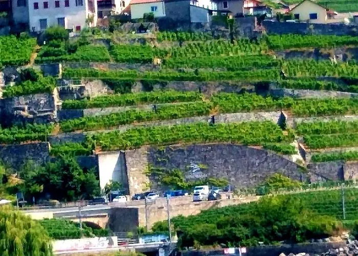 La Gremillette Gourmande Lavaux *