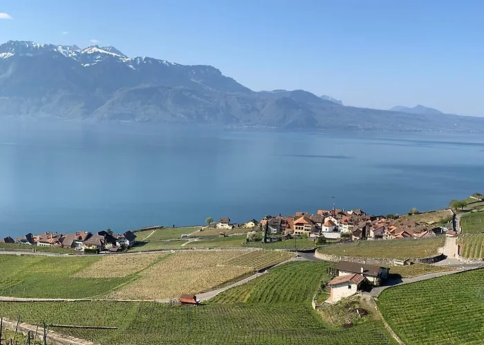 La Gremillette Gourmande Lavaux Rivaz