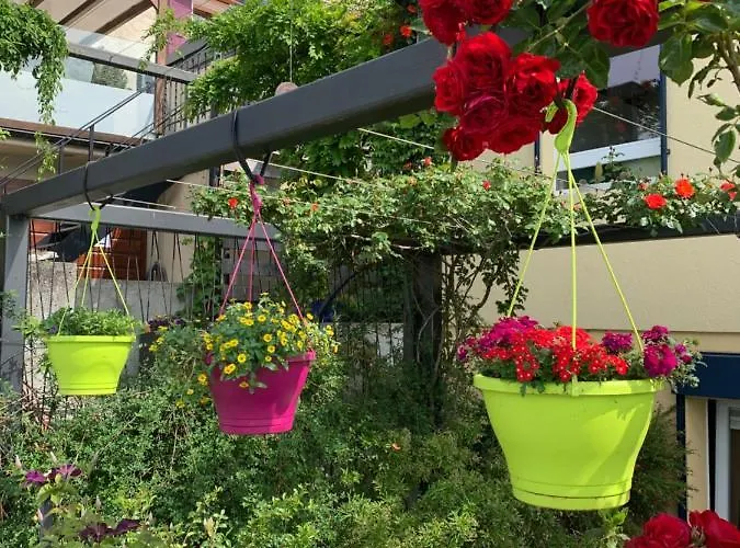 Quarto em Acomodações Particulares La Gremillette Gourmande Lavaux *